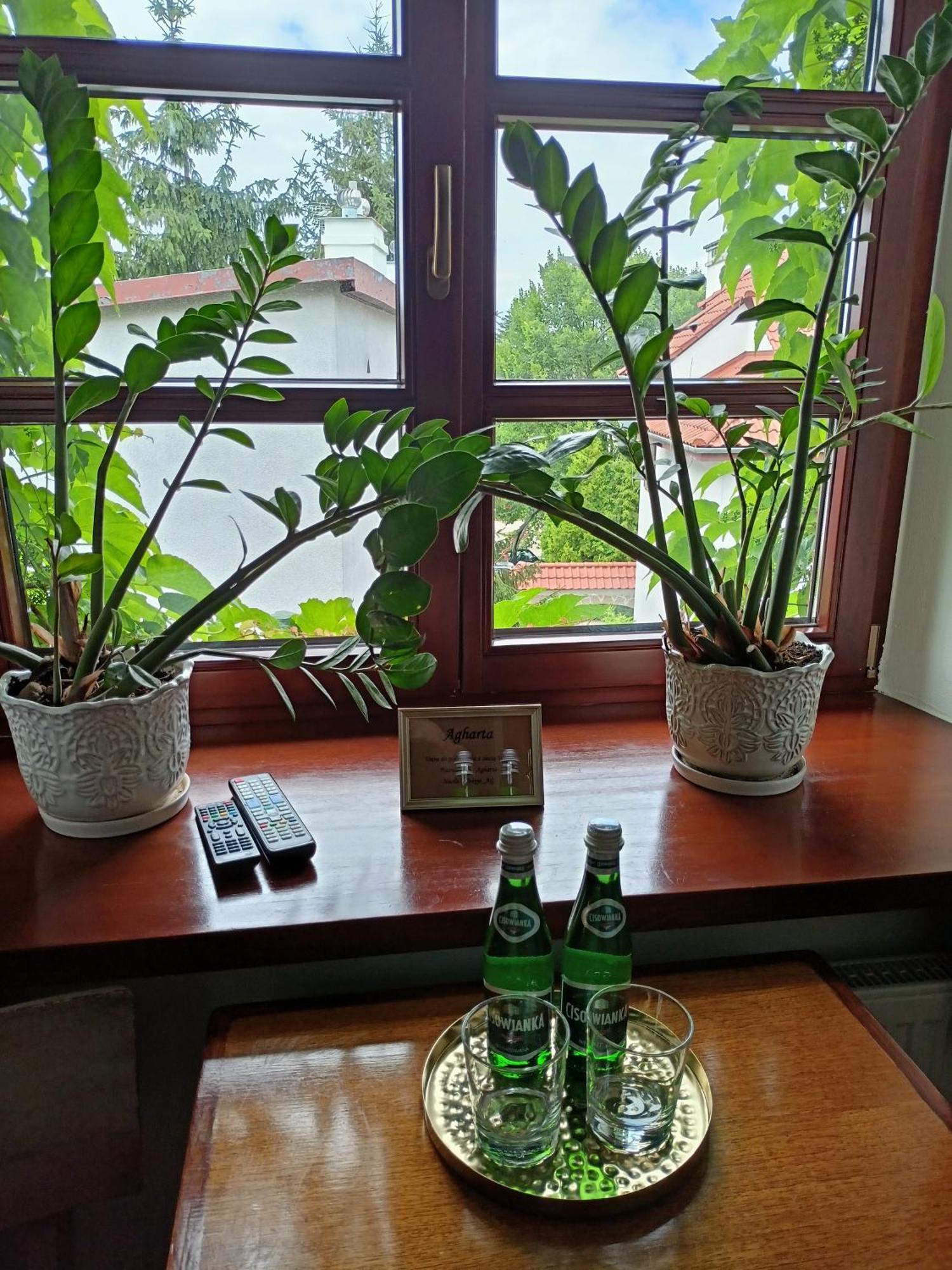 卡齐米日-多尔尼Agharta住宿加早餐旅馆 外观 照片
